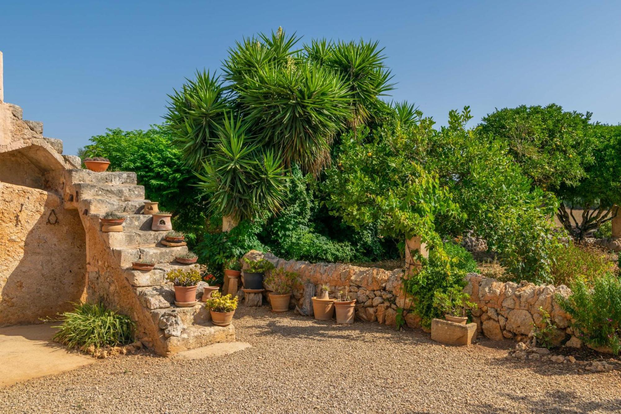 Villa Son Negre