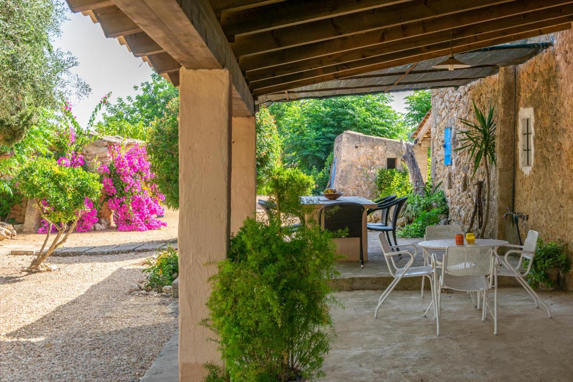 Villa Son Negre *