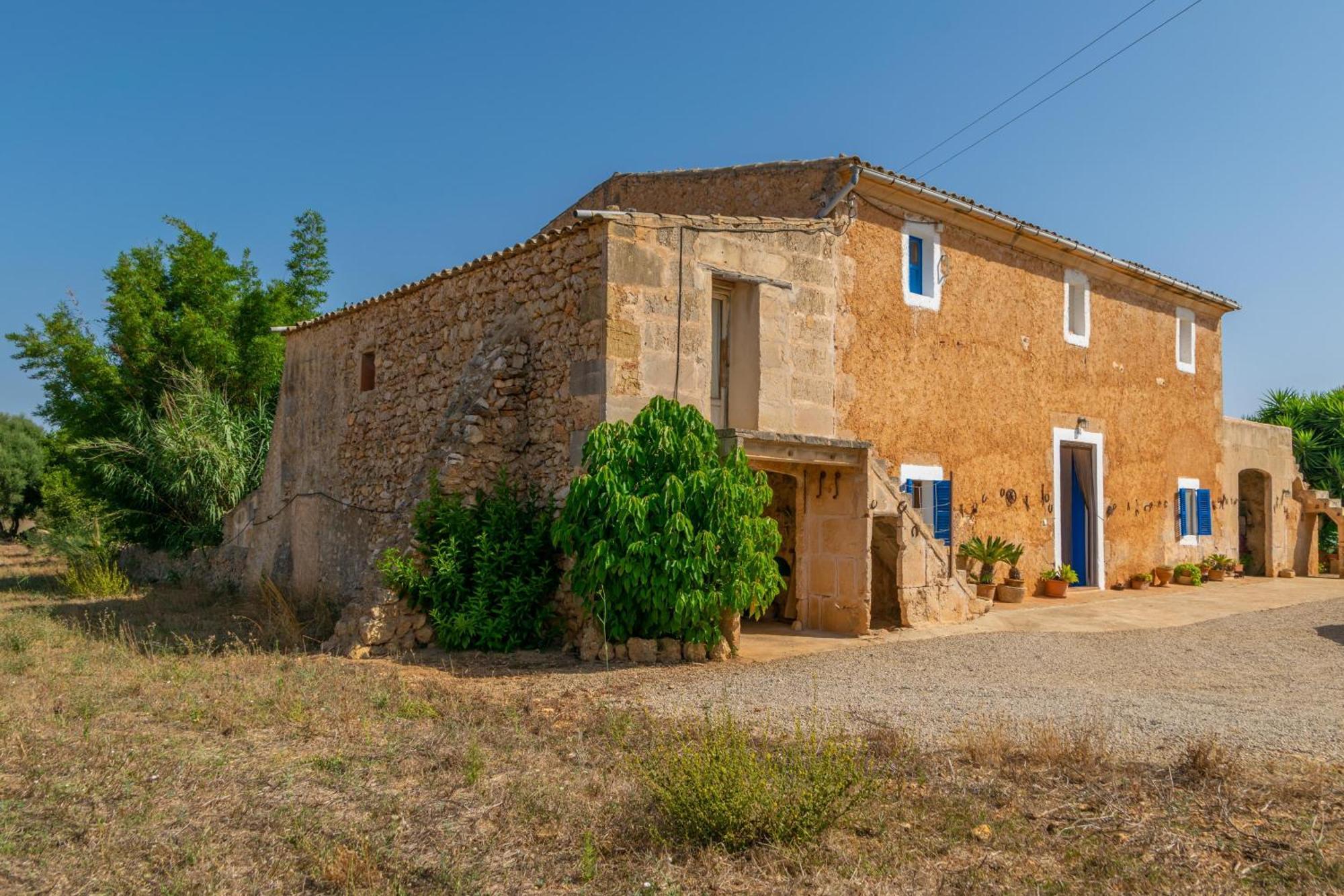 Villa Son Negre